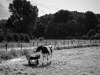 Futterstelle  PENTAX K-3 Mark III Monochrome, HD PENTAX - DA* 2.8/ 11-18 ED DC AW