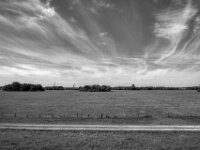 Rheinwiesen und weiter Himmel  PENTAX K-3 Mark III Monochrome, HD PENTAX - DA* 2.8/ 11-18 ED DC AW