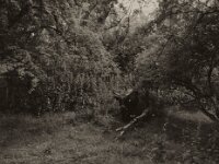 ... und tschüss  Pentax 645N, SMC FA 645 2.8/45, Gelbfilter, ADOX CHS100II  - 28.06.2025 -