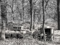Waldhonig - Produktion  PENTAX K-3 Mark III Monochrome, HD PENTAX - D FA 2.8/24-70 ED SDM WR  - 28-03-2025 -