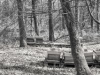 Winterpause  PENTAX K-3 Mark III Monochrome, HD PENTAX - D FA 2.8/24-70 ED SDM WR  - 28-03-2025 -