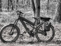 Fotostop  PENTAX K-3 Mark III Monochrome, HD PENTAX - D FA 2.8/24-70 ED SDM WR  - 28-03-2025 -