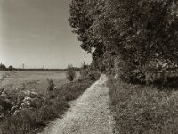 Am Rhein entlang  Pentax 645N, SMC FA 2.8/45, Gelbfilter, KODAK 400TX  - 30.04.2025 -