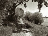 Rheinuferweg  Pentax 645N, SMC FA 2.8/45, Gelbfilter, KODAK 400TX  - 30.04.2025 -