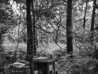 Verlassene Bienenstöcke  Fuji GS 645 S prof.WIDE 60, Adox CHS 100 II  - 30.05.2025 -