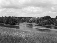 Schwäne Naturschutz Lippemündung  Fuji GS 645 S prof.WIDE 60, Adox CHS 100 II  - 30.05.2025 -