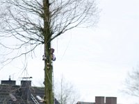 ... Jahrzehnte hatte er hier gestanden ...  Jahrzehnte hat er hier gestanden, hat jedem Wetter, jedem Sturm getrotzt   ........ : Baum, Baumschutz, Baumschutzsatzung, Eichenstraße, Mammutbaum, Nachbar, Nachbarn, Umwelt, Umweltschutz, Umweltzerstörung