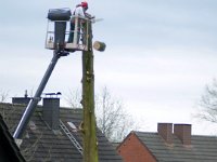 ... Lebensjahrzehnte werden sinnlos zerstört  ..  Wachstum von Jahrzehnten fällt Stück für Stück in die Tiefe. : Baum, Baumschutz, Baumschutzsatzung, Eichenstraße, Mammutbaum, Nachbar, Nachbarn, Umwelt, Umweltschutz, Umweltzerstörung