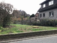 ... Wähler sind mehrheitlich Erkenntnisresistent ...  Der große, alte, mächtige und gesunde Baum auf der Gester Straße wurde gefällt. Ein grober Verstoß gegen die Baumschutzsatzung und ein Verstoß gegen das gesetzliche Verbot von Baumfällungen ab Monat März! Wieder verlieren Vögel ihre Nistplätze und das Artensterben geht weiter. Klimawandel, Insektensterben, Verschwinden von heimischen Vogelarten, Versiegeln von Böden !  - die Gemeindeverwaltung schweigt und stellt sich dumm. Nun ja, wer CDU wählt, wählt halt die Vernichtung von Natur und im Endeffekt den eigenen Untergang. Die Wähler sind mehrheitlich Erkenntnisresistent. Liebe Mitbürger, Politiker und Parteien fallen nicht vom Himmel, sondern sie werden in einer Demokratie gewählt, nämlich von euch! : Baum, Baumschutz, Baumschutzsatzung, Dorf, Tanne, Umwelt, Umweltschutz, Umweltzerstörung