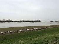 ohne Worte : Naturzerstörung, Landschaft, Rheindeich, Abholzung, Bäume