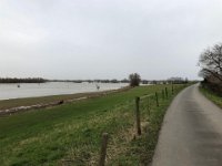 ohne Worte : Naturzerstörung, Landschaft, Rheindeich, Abholzung, Bäume