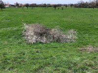 ohne Worte : Naturzerstörung, Landschaft, Rheindeich, Abholzung, Bäume