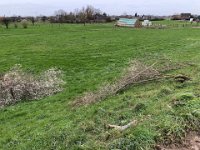 ohne Worte : Naturzerstörung, Landschaft, Rheindeich, Abholzung, Bäume