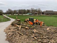 ohne Worte : Naturzerstörung, Landschaft, Rheindeich, Abholzung, Bäume