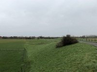 ohne Worte : Naturzerstörung, Landschaft, Rheindeich, Abholzung, Bäume