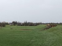 ohne Worte : Naturzerstörung, Landschaft, Rheindeich, Abholzung, Bäume