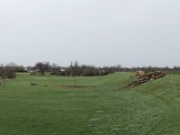 ohne Worte : Naturzerstörung, Landschaft, Rheindeich, Abholzung, Bäume