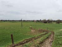 ohne Worte : Naturzerstörung, Landschaft, Rheindeich, Abholzung, Bäume