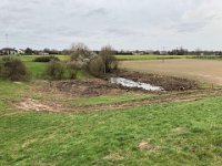 ohne Worte : Naturzerstörung, Landschaft, Rheindeich, Abholzung, Landschaftsschutzgebiet, Bäume