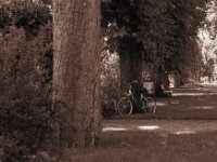 Allee mit Fahrrad im Kloster Maria Veen  Pentax LX, SMC 1.4/50; Adox CHSII 100/64  - 12.06.2014 -