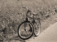 Mein Panterrad  Pentax K2, 2.5/135 Takumar Bayonet, APX100/125 - 16.09.2012 -