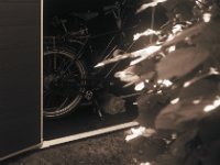 Fahrradgarage mit Kater  Agfa Billy Record, Acros 100/64  - 02.06.2014 -