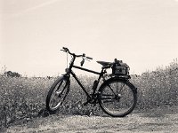 Fahrrad am Rapsfeld  Pentax 6x7; 2.4/105; Agfa APX 400/320 - 7. Juni 2008 _