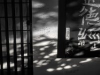 Morgenlicht auf der Wand  PENTAX K-3 Mark III Monochrome, HD PENTAX - DA* 2.8/16-50 ED PLM AW - 19.08.2025 -