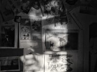 Zettelwand  PENTAX K-3 Mark III Monochrome, HD PENTAX - DA* 2.8/16-50 ED PLM AW  - 24.09.2025 -