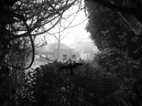 Nebel vor dem Küchenfenster  PENTAX K-3 Mark III Monochrome, HD PENTAX - DA* 2.8/ 11-18 ED DC AW  - 17.01.2025 -