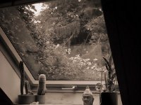 Fensterausblick  Fuji GS645S professional,  Bergger Pancro 400@320 : Buddha, Fenster, Kakten, Figur, Schlafzimmer, Wohnung, Engel