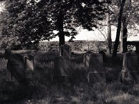 Jüdischer Friedhof Alpen  Fuji GW 690 III; Forte Pan 400/320 - 5.Mai 2008 -