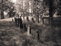 Jüdischer Friedhof Alpen  Fuji GW 690 III; Forte Pan 400/320 - 5.Mai 2008 -