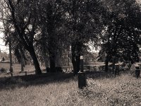 Jüdischer Friedhof Alpen  Fuji GW 690 III; Forte Pan 400/320 - 5.Mai 2008 -