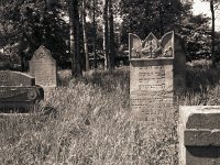 Jüdischer Friedhof Alpen  Fuji GW 690 III; Forte Pan 400/320 - 5.Mai 2008 -