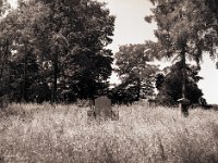 Erinnerungen zwischen Gräsern  Pentax 645N, 2.8/45, Gelbfilter, Adox CHS100II@64 - 06.06.2016 -