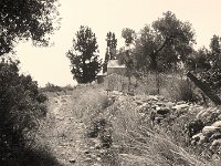 Weg zum Friedhof Aghia Galini  Chinon CE 4, 3.5/35-70, Fuji 400