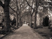 Friedhofsweg - Aldenrade  Fuji GW 690 III, Adox CHS100/64