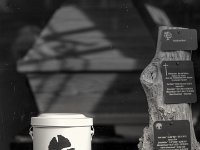 Ginko Urne  PENTAX K-3 Mark III Monochrome, SMC PENTAX-FA 1.8/77 Limited - 03.09.2024 -