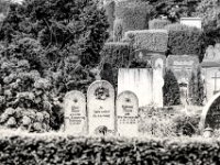 Zusammen Vielfalt  PENTAX K-3 Mark III Monochrome, SMC PENTAX-FA 1.8/77 Limited - 03.09.2024 -