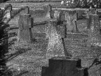 Taube  PENTAX K-3 Mark III Monochrome, SMC PENTAX-FA 1.8/77 Limited - 03.09.2024 -