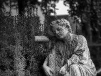 Sternenkind  PENTAX K-3 Mark III Monochrome, SMC PENTAX-FA 1.8/77 Limited - 03.09.2024 -