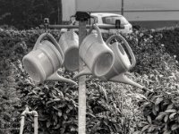 Wartestellung  PENTAX K-3 Mark III Monochrome, SMC PENTAX-FA 1.8/77 Limited - 03.09.2024 -