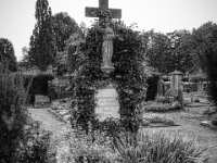 Grüne Ruhe  PENTAX K-3 Mark III Monochrome, HD PENTAX - DA* 2.8/ 11-18 ED DC AW  - 13.09.2024 -