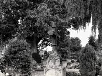 Alte Grabstätte  PENTAX K-3 Mark III Monochrome, HD PENTAX - DA* 2.8/ 11-18 ED DC AW  - 13.09.2024 -