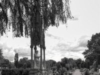Friedhofsweg  PENTAX K-3 Mark III Monochrome, HD PENTAX - DA* 2.8/ 11-18 ED DC AW  - 13.09.2024 -