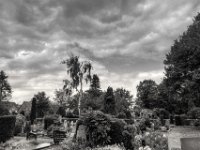 Birke  PENTAX K-3 Mark III Monochrome, HD PENTAX - DA* 2.8/ 11-18 ED DC AW  - 13.09.2024 -