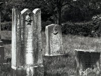 Jüdischer Friedhof in Winterswick  Pentax 6x7; 4.0/200; Delta 400 - Mai 1997 -