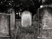 Jüdischer Friedhof in Winterswick  Pentax 6x7; 4.0/200; Delta 400 - Mai 1997 -