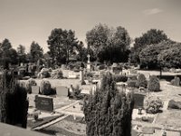 Friedhof Büderich  Pentax K-1, smc PENTAX-FA 31mm F1.8 AL Limited  - 13.07.2018 - : Büderich, Friedhof